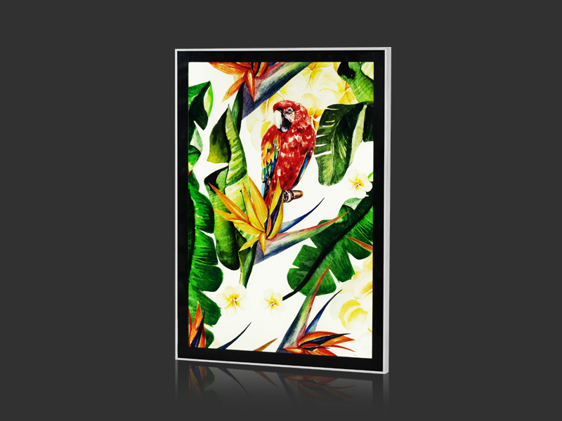 Single-Sided Magnetic Light Box-AM2435